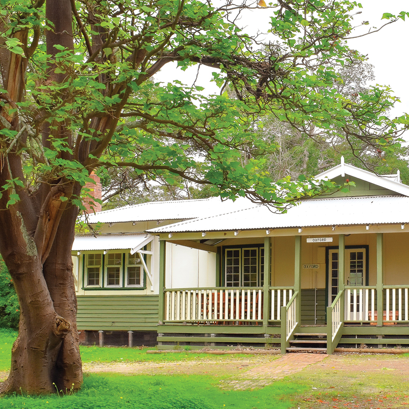 A big tree dominates the yard of an Oxford cottage in Fairbridge Village, offering shade and beauty to the landscape
