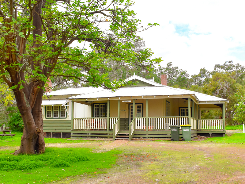 A big tree dominates the yard of an Oxford cottage in Fairbridge Village, offering shade and beauty to the landscape