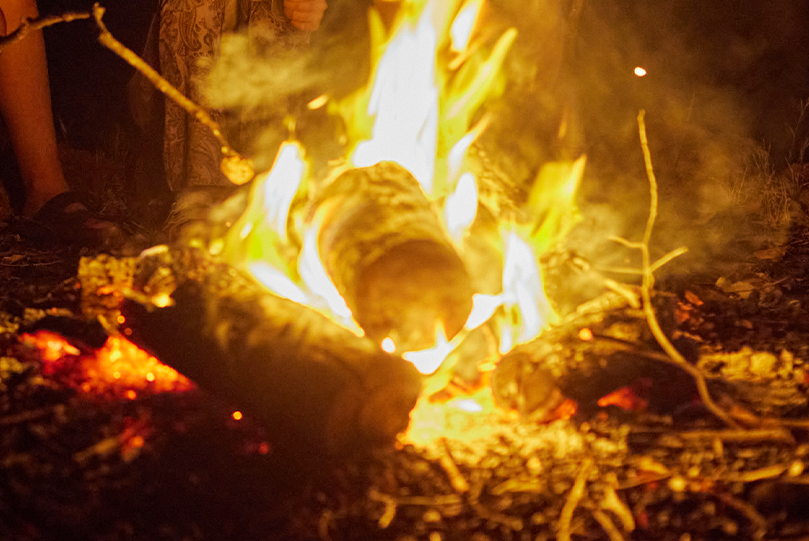 Woods burned during the campfire at Fairbridge Village
