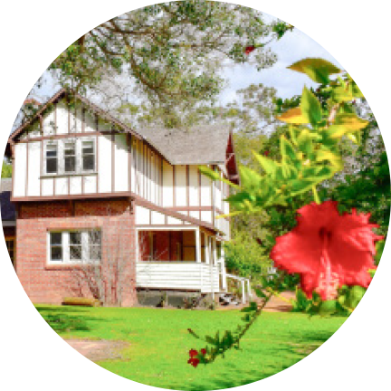 A charming house surrounded by a garden with vibrant red flowers and tall trees, located in southwest accommodation area