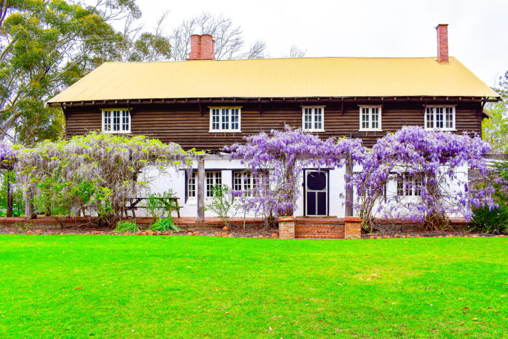 Fairbridge Festival - Vibrant outdoor